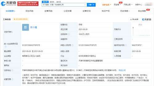 科大訊飛布局新賽道 成立超腦科技公司，深化信息系統集成服務